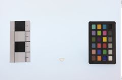 Foto von Diamant (NHMW-MIN-Af694)